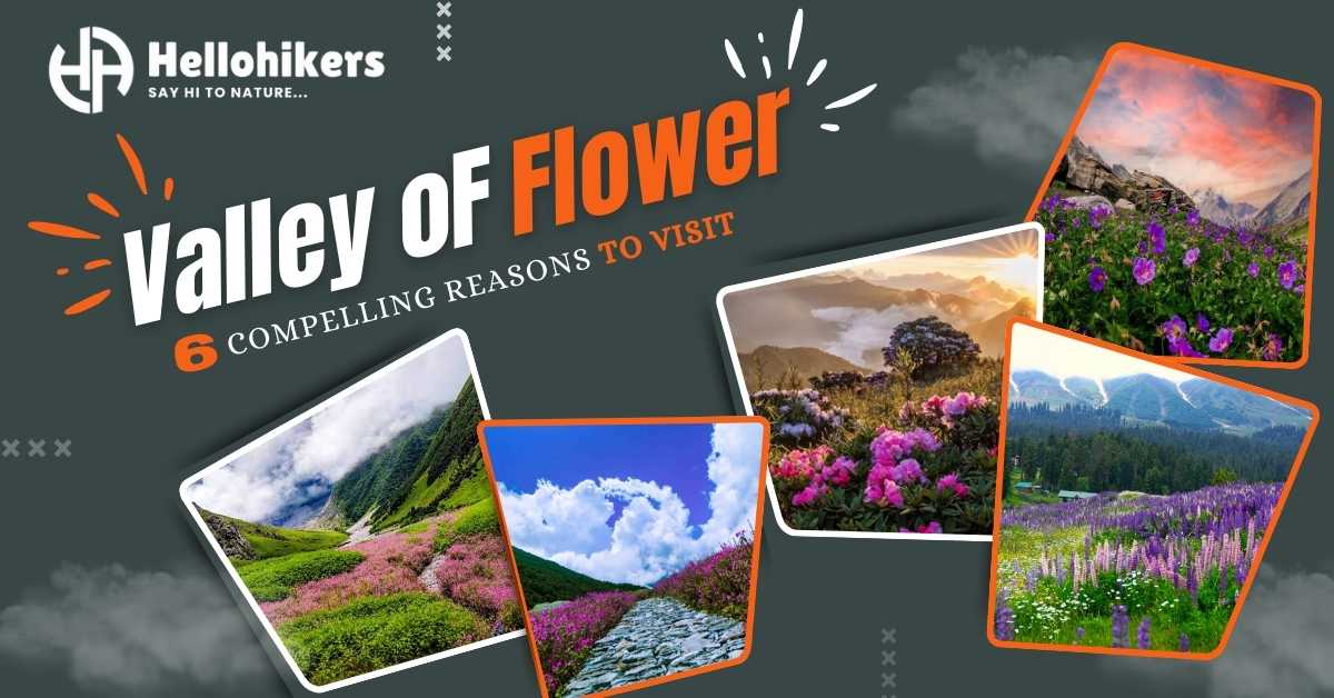 6 Compelling Reasons to Embark on the Valley of Flowers Trek - Hello Hikers